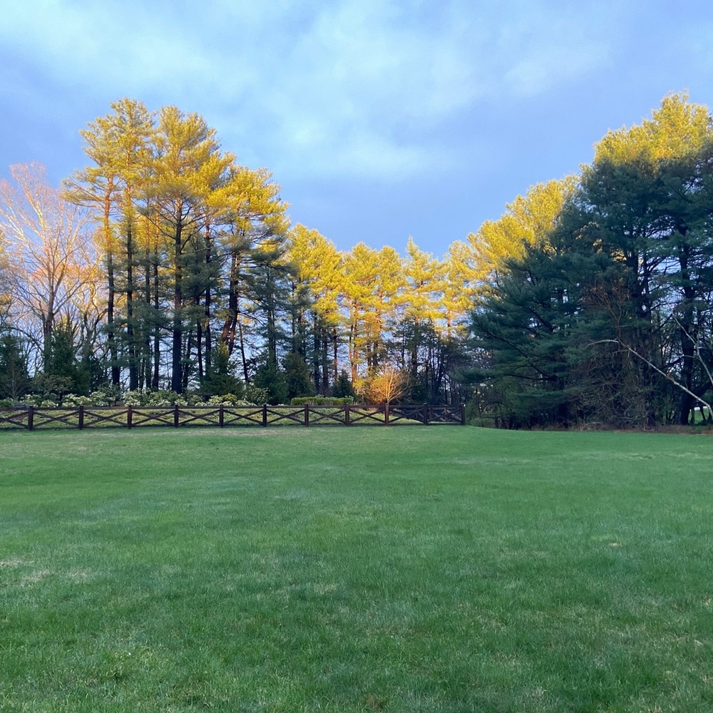 Meet your Posher, Sam